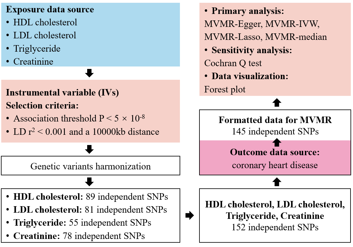 MVMR Framework